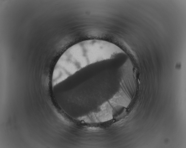X0000094180637200711241554