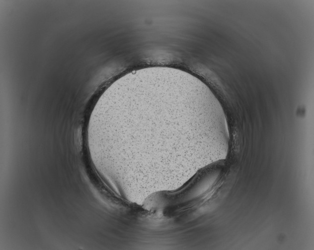 X0000094180638200711241554