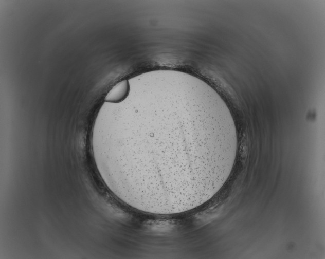 X0000094180639200711241554