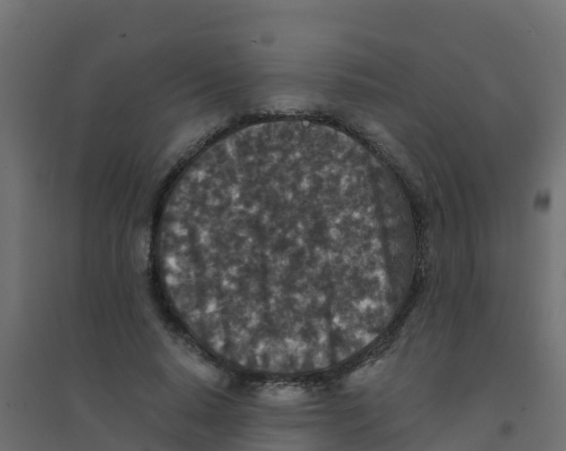 X0000094180640200711241554