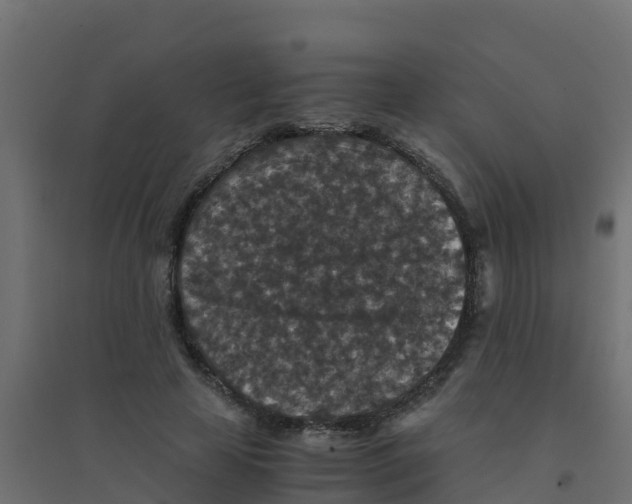 X0000094180641200711241554