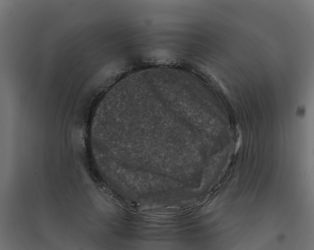 X0000094180643200711241554