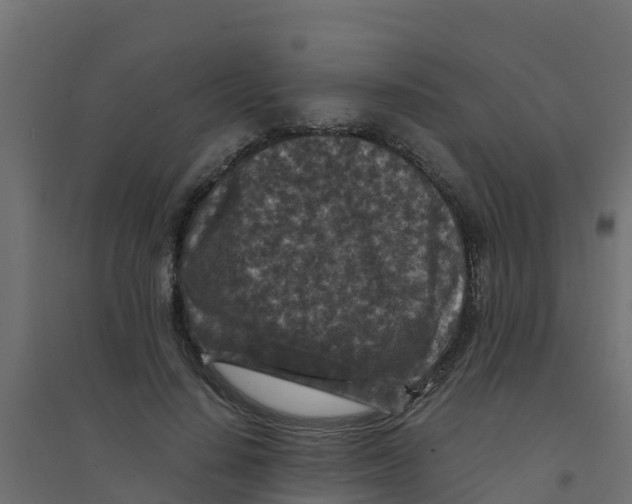 X0000094180644200711241554