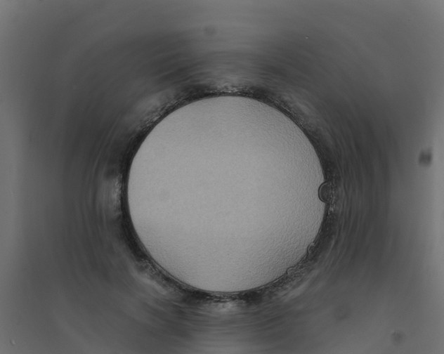 X0000094180646200711241554