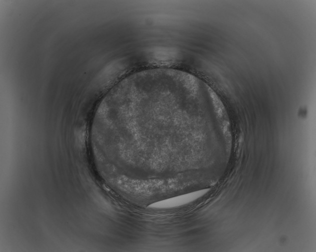 X0000094180647200711241554