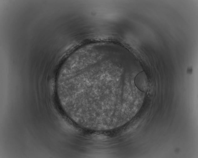 X0000094180648200711241554