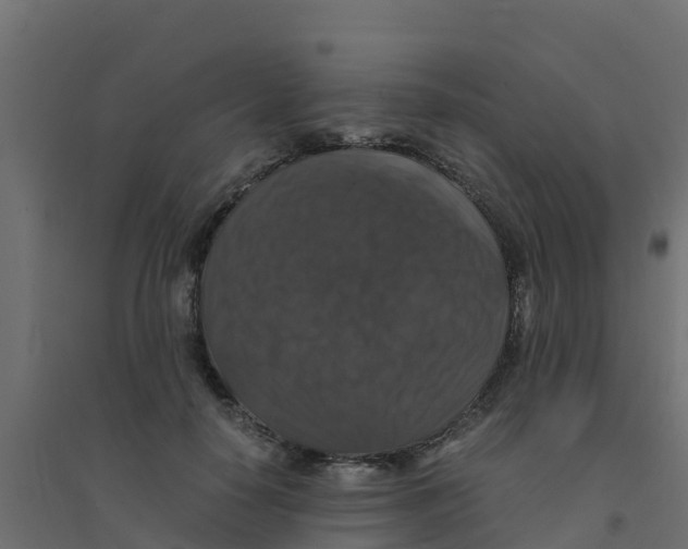 X0000094180650200711241554