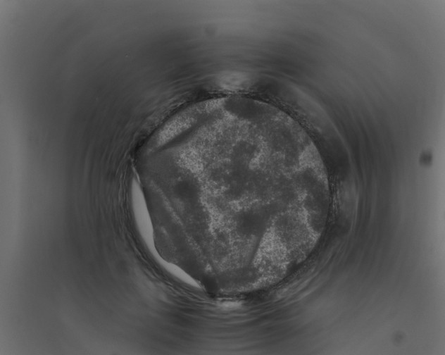 X0000094180651200711241554
