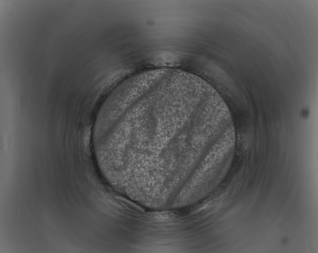 X0000094180652200711241554