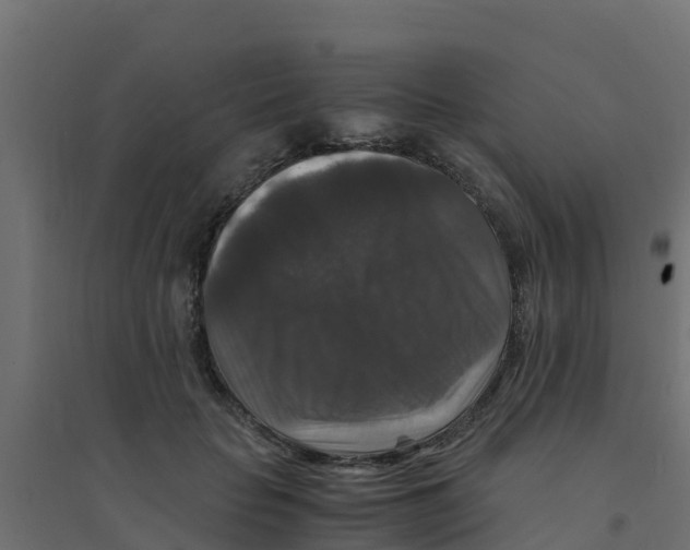 X0000094180653200711241554
