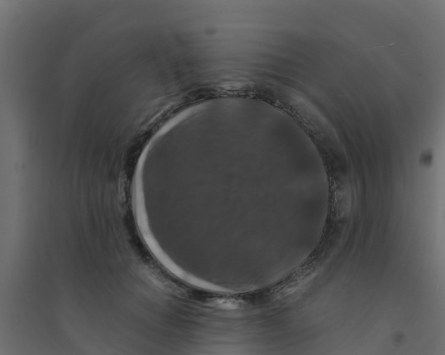 X0000094180654200711241554