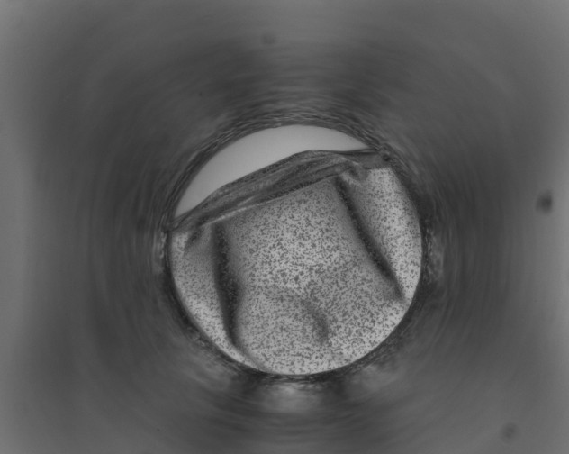X0000094180657200711241554
