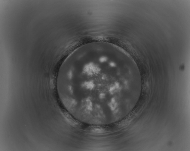X0000094180658200711241554