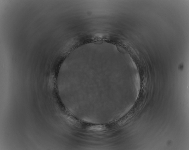 X0000094180659200711241554