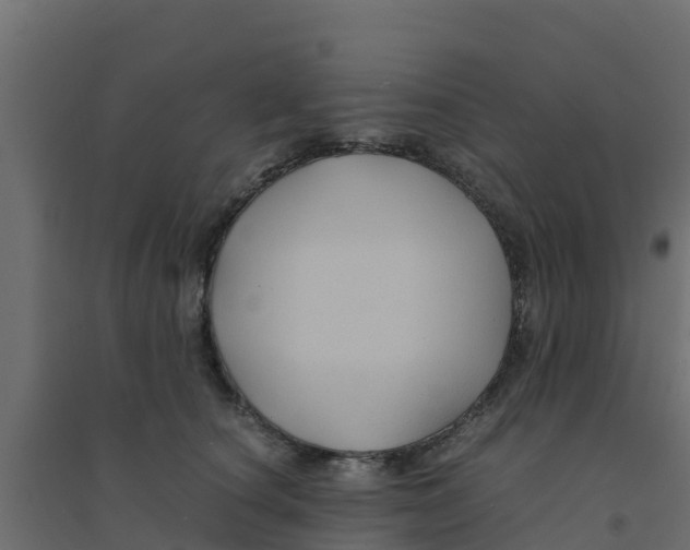 X0000094180660200711241554