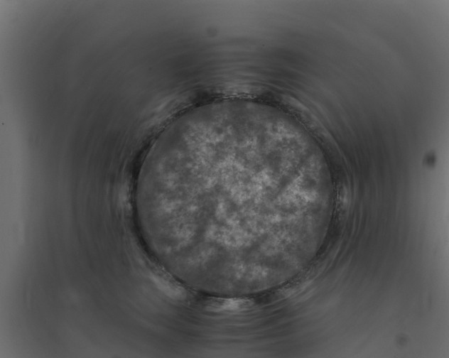 X0000094180663200711241554