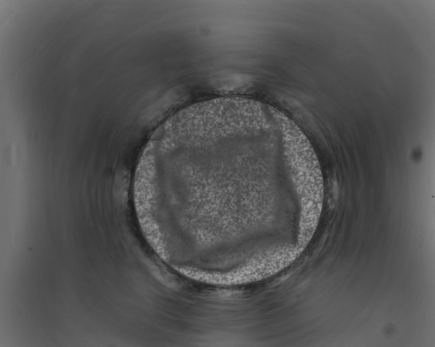 X0000094180664200711241554