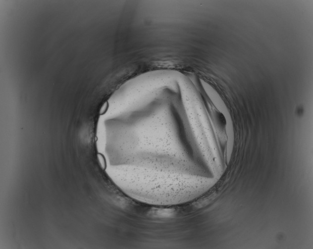 X0000094180665200711241554