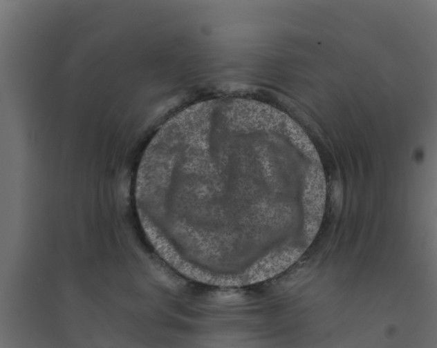 X0000094180668200711241554