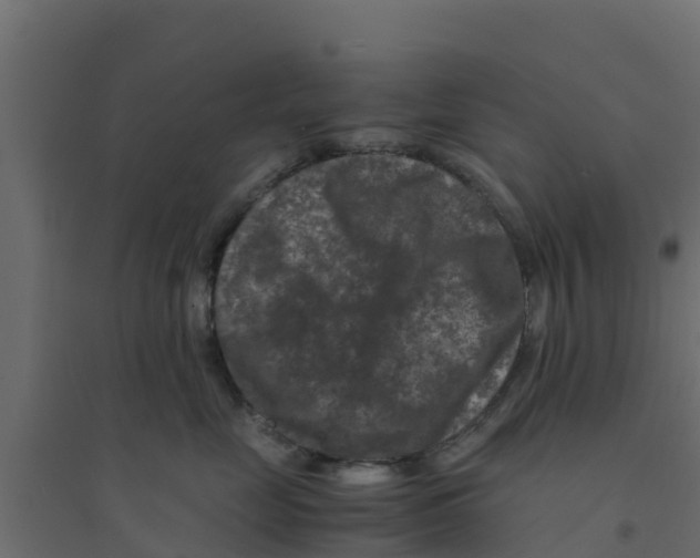 X0000094180669200711241554