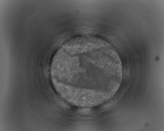 X0000094180671200711241554