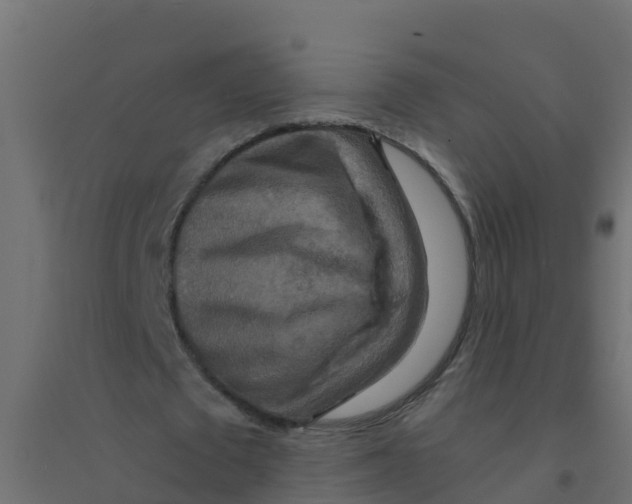 X0000094180673200711241554