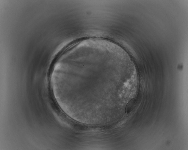 X0000094180674200711241554
