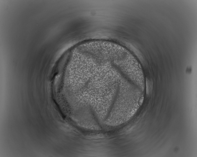 X0000094180675200711241554