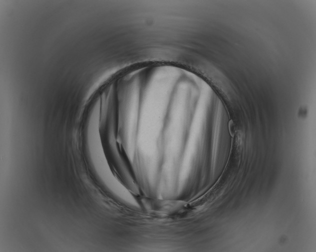 X0000094180676200711241554