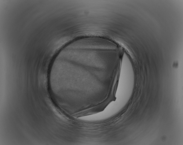X0000094180677200711241554
