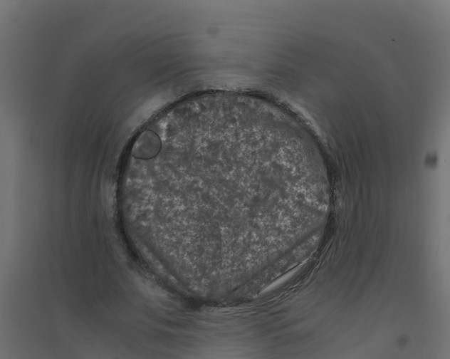 X0000094180679200711241554