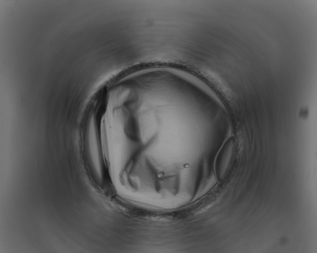 X0000094180680200711241554