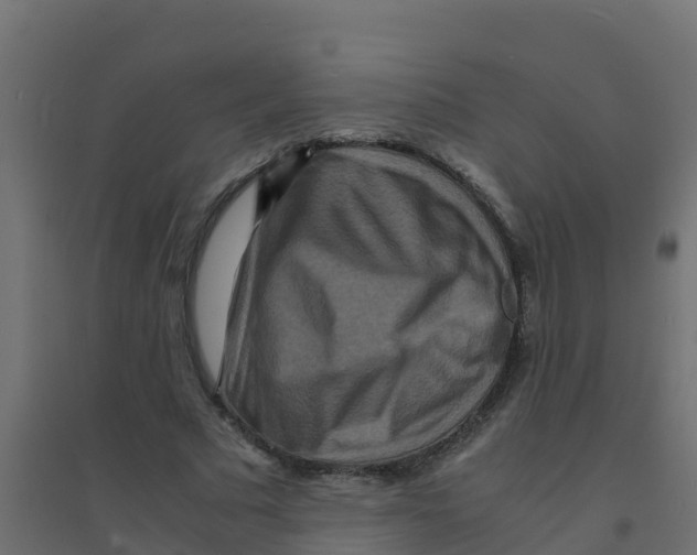 X0000094180681200711241553