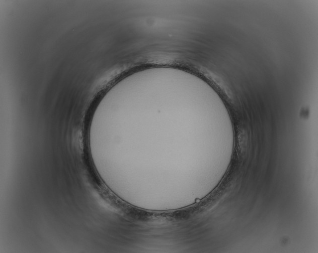 X0000094180682200711241553