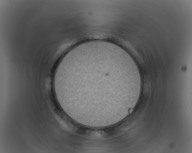 X0000094180683200711241553
