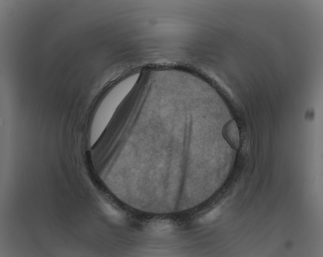 X0000094180685200711241553
