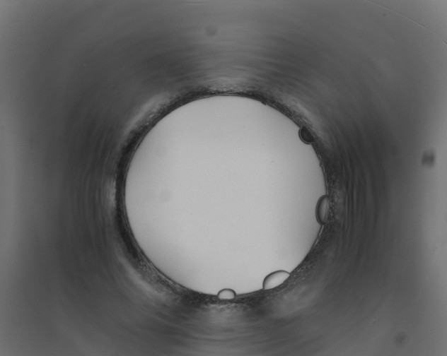 X0000094180686200711241553