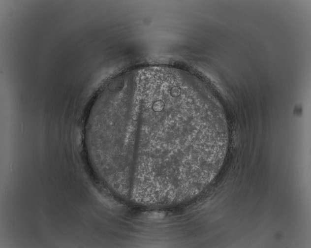X0000094180687200711241553