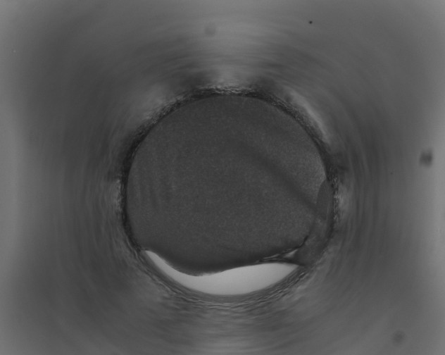 X0000094180689200711241553