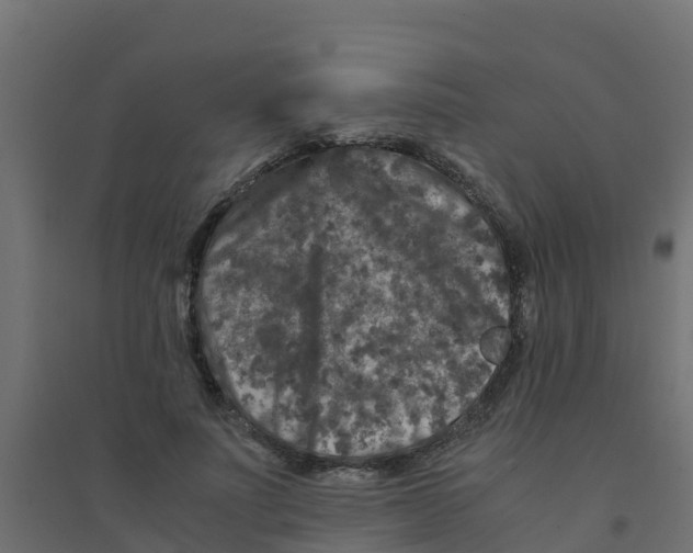 X0000094180691200711241553