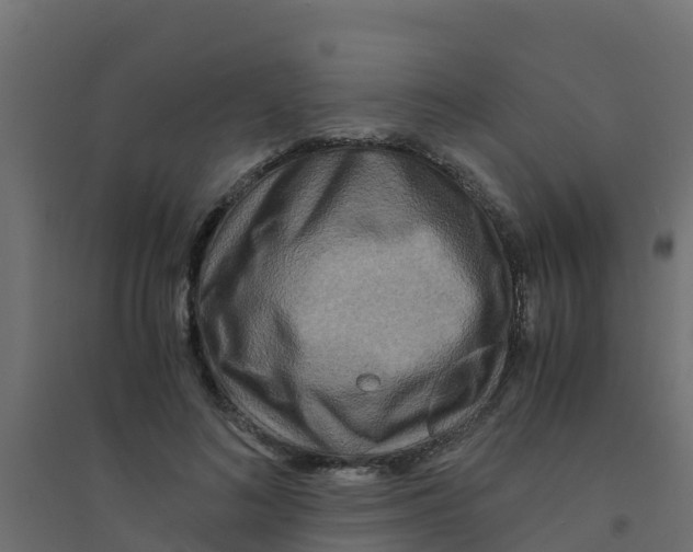 X0000094180692200711241553