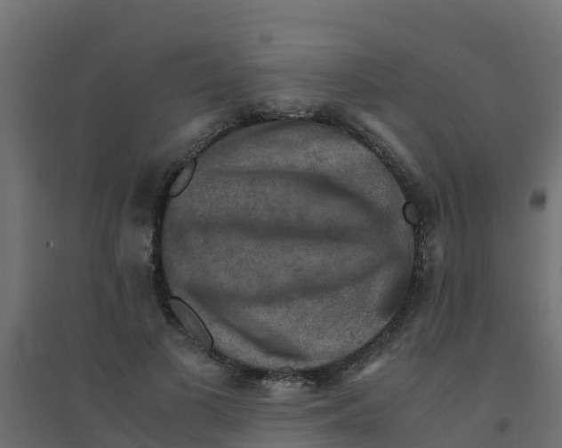 X0000094180693200711241553