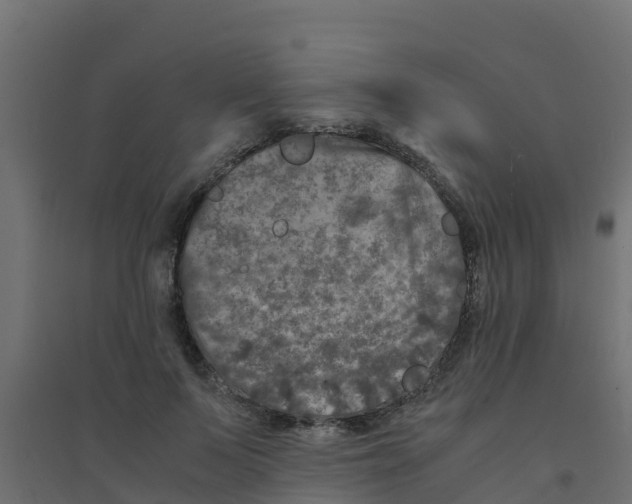 X0000094180695200711241553