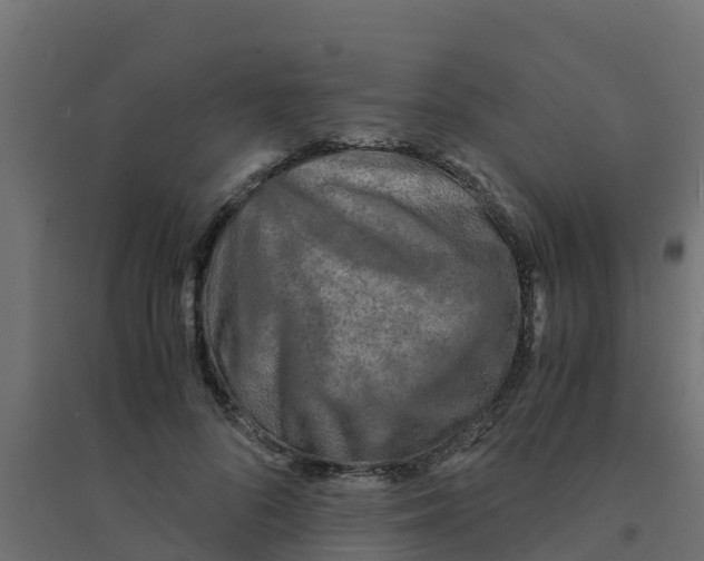 X0000094180696200711241553