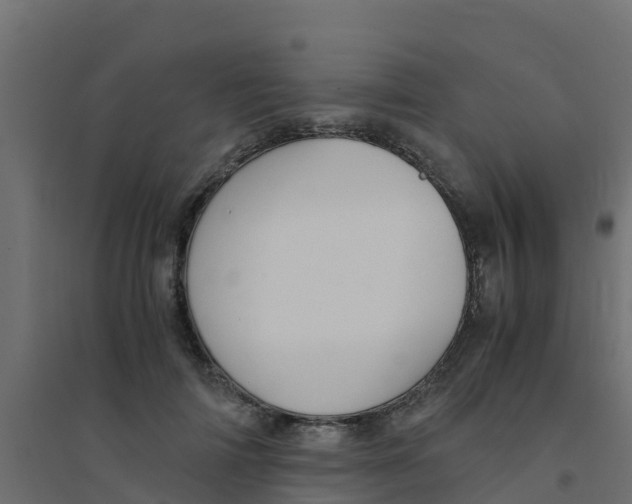 X0000094180698200711241553