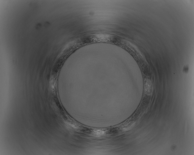 X0000094180701200711241553