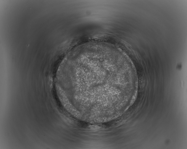 X0000094180703200711241553