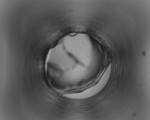 X0000094180704200711241553