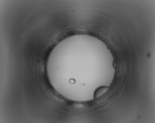 X0000094180706200711241553
