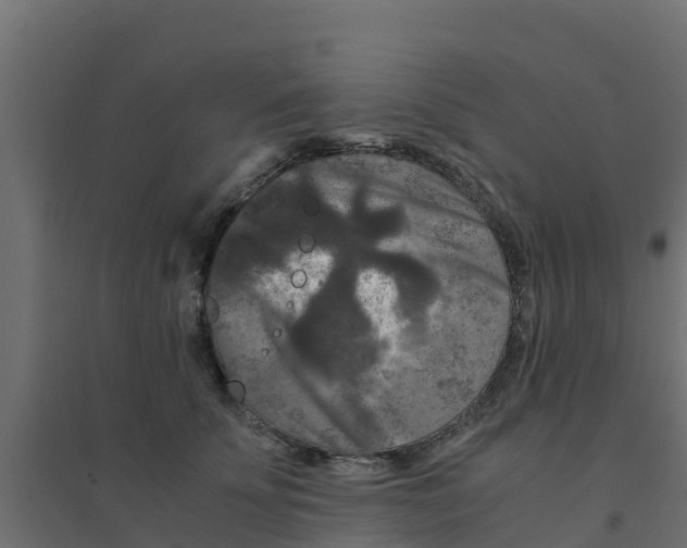 X0000094180707200711241553